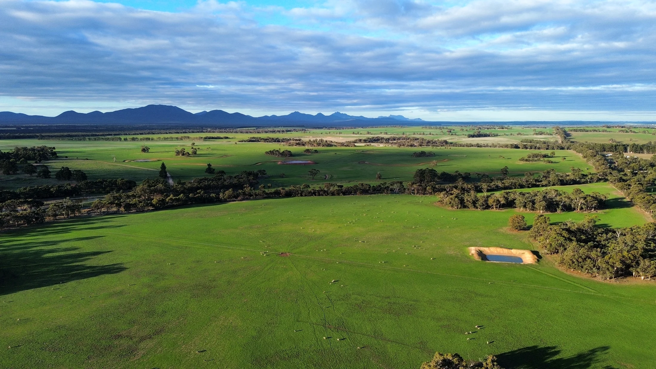 Aerial view across green farmland toward the Stirling Ranges